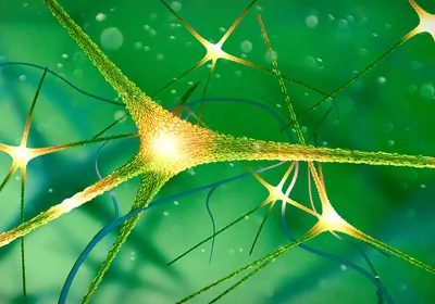 3D rendered microscopic view of neurons and synapses. 3D rendered microscopic view of neurons and synapses.